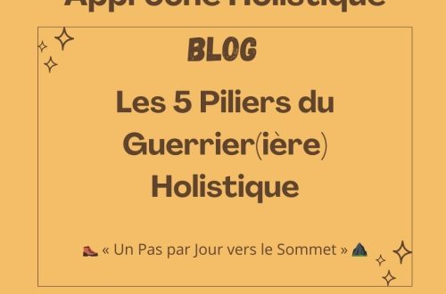 Les 5 Piliers du Guerrier(ière) Holistique
