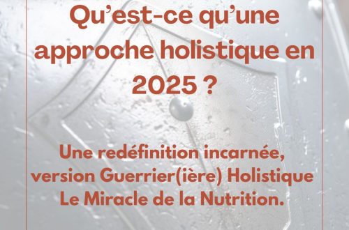 Qu’est-ce qu’une approche holistique en 2025 ?